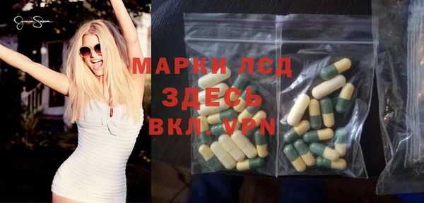 индика Белоозёрский