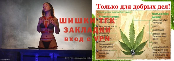 индика Белоозёрский