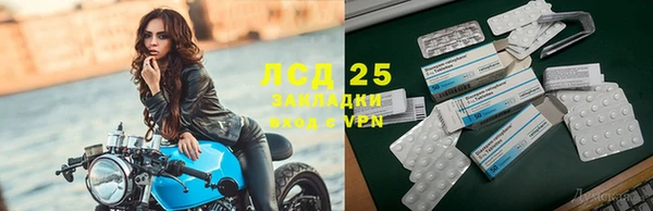 гидропоника Белокуриха