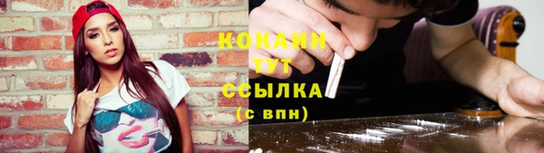 индика Белоозёрский