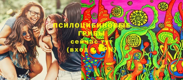 молекула духа Беломорск