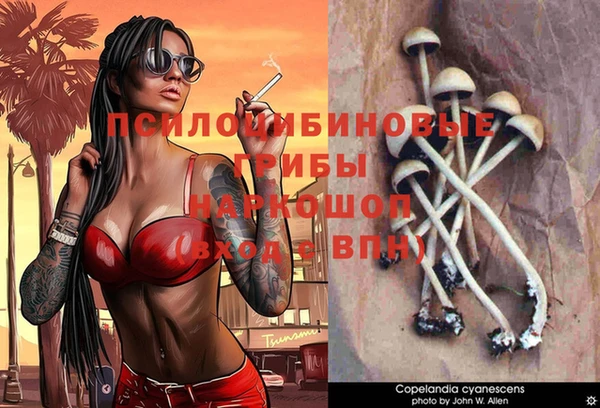 молекула духа Беломорск