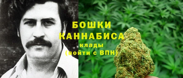 индика Белоозёрский
