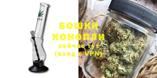 индика Белоозёрский