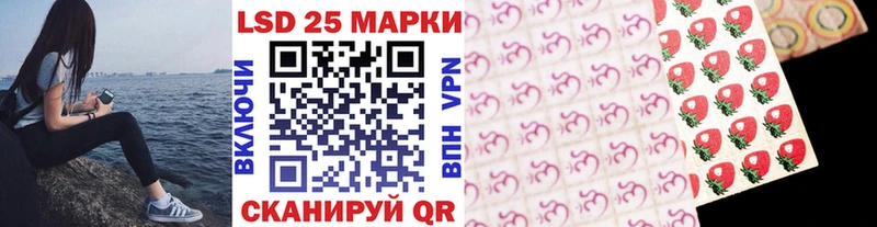 OMG как войти  Гаврилов-Ям  Марки N-bome 1,5мг 