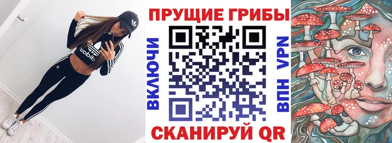 Псилоцибиновые грибы Psilocybine cubensis Гаврилов-Ям